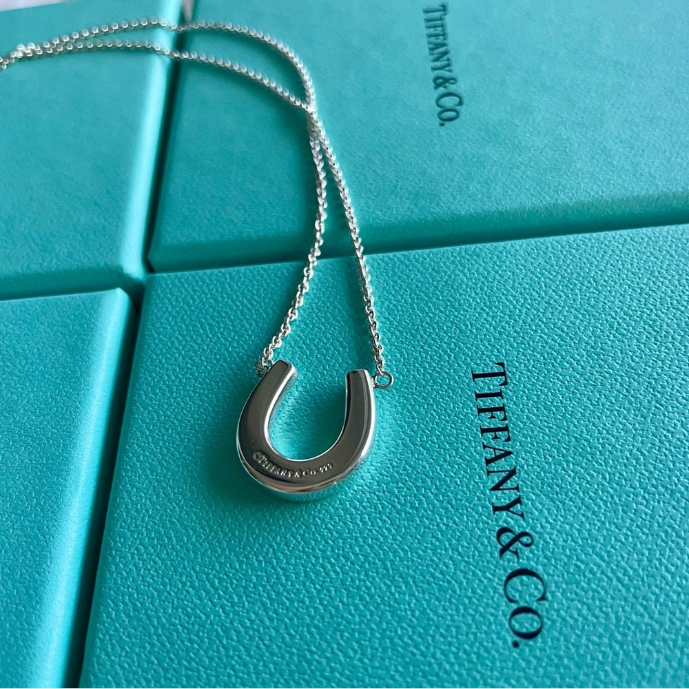 Tiffany and Co. Silver Horseshoe Necklace - Picture 8 of 15